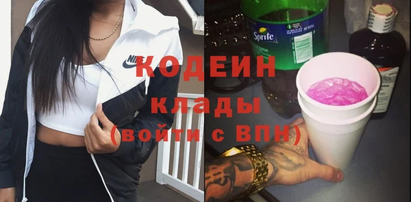 МДПВ Нея