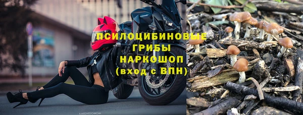МДПВ Нея