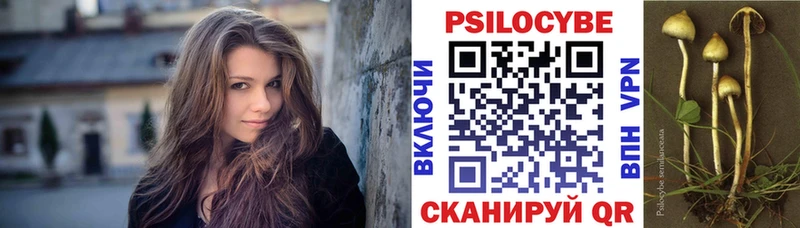 Галлюциногенные грибы прущие грибы  наркотики  Абинск 