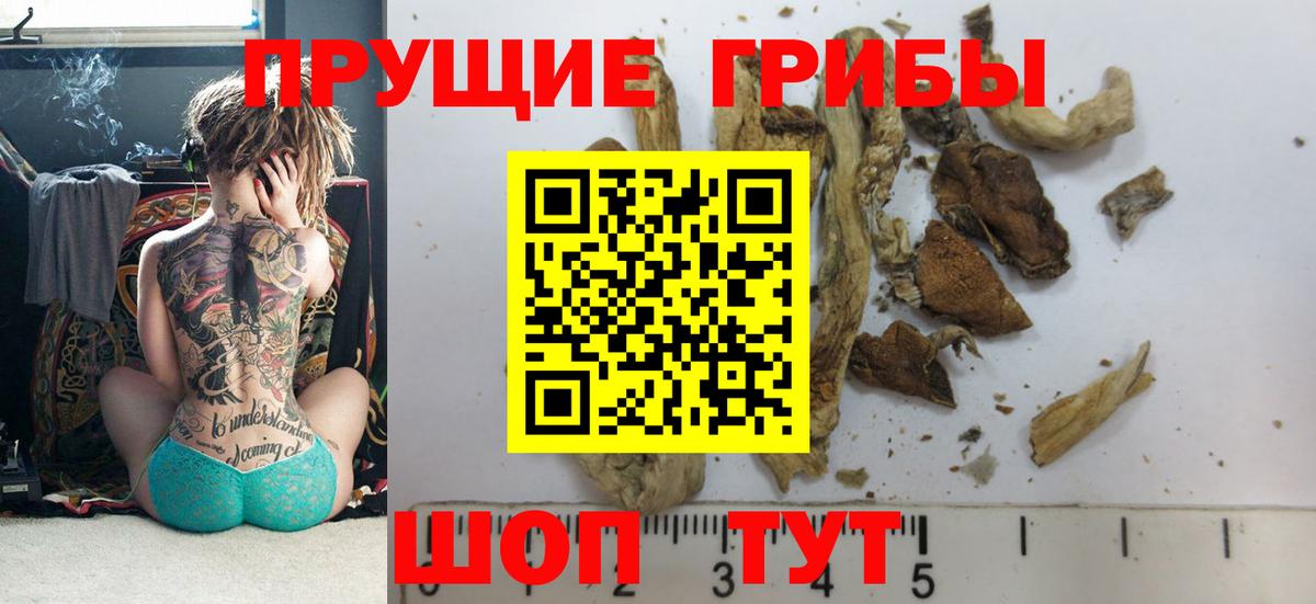 Псилоцибиновые грибы Psilocybe  наркошоп  Абинск 